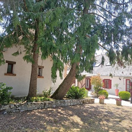 Apartamento L'Escale Solognote Tour-en-Sologne Exterior foto